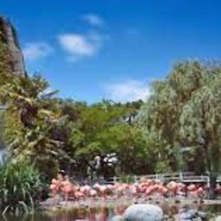 Maison De Village Et Jardin , A Mornac Sur Seudre Bagian luar foto