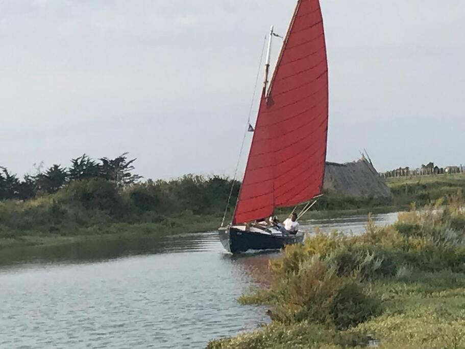 Maison De Village Et Jardin , A Mornac Sur Seudre Bagian luar foto